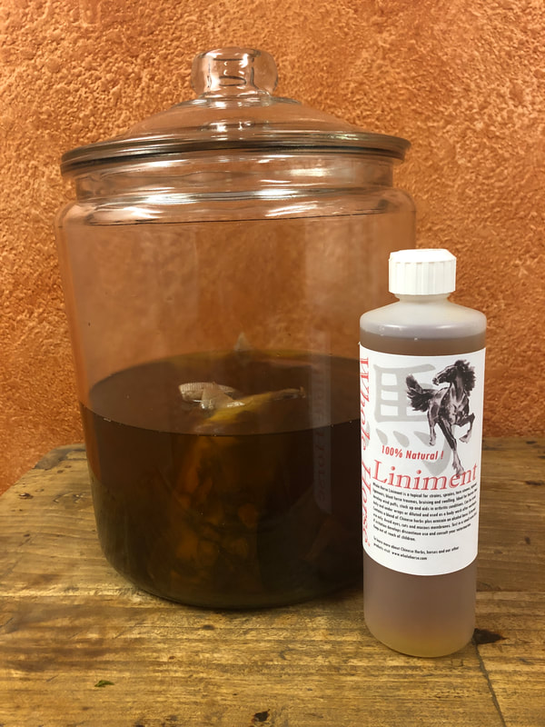 Whole Horse Liniment for pain relief from sports injuries
