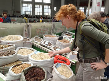 Gloria Garland Inspecting herbs in Northern China
